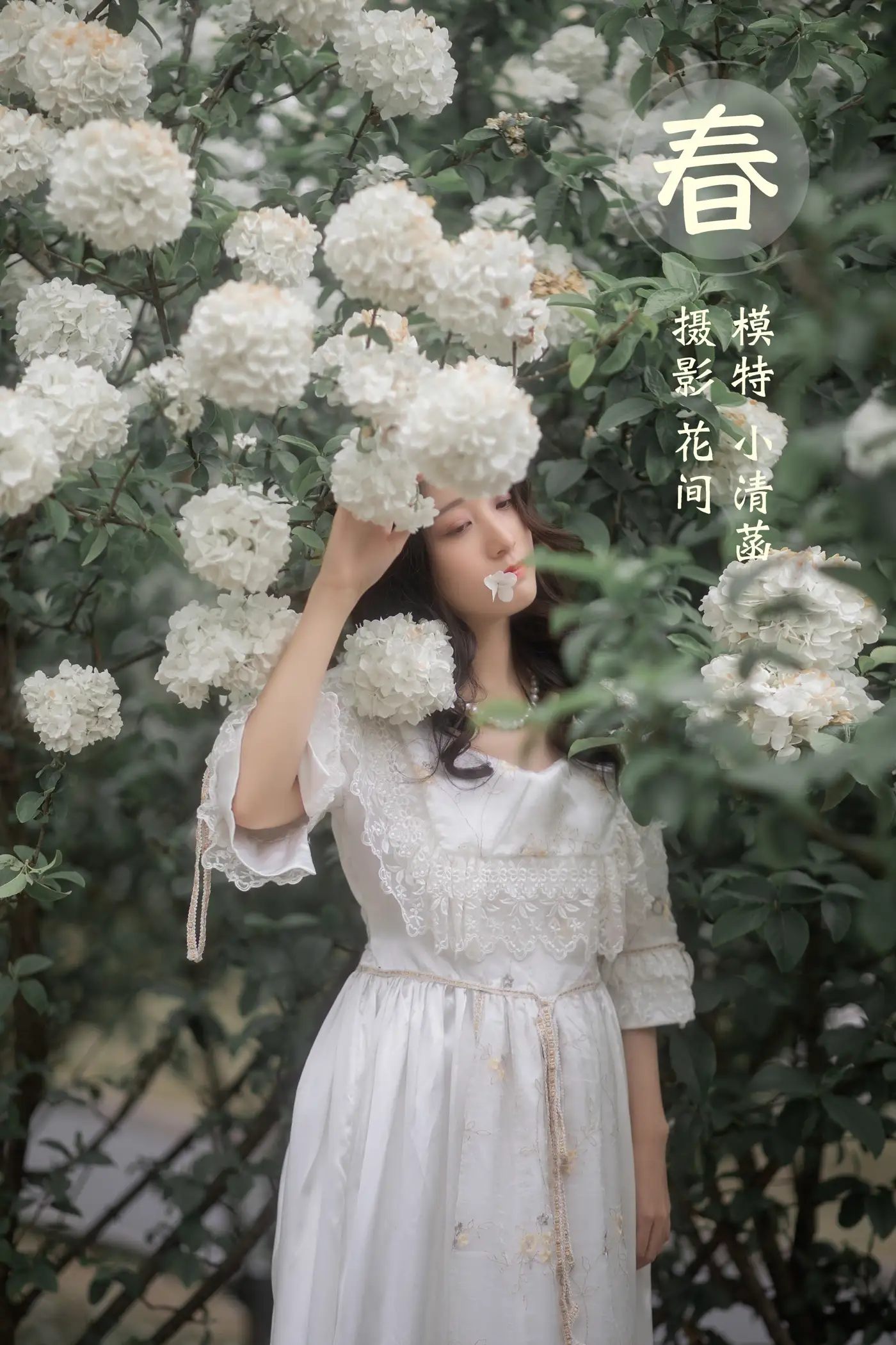 [艺图语] 2021.12.22 Vol.512 – 春 小清菡#[21P]-1