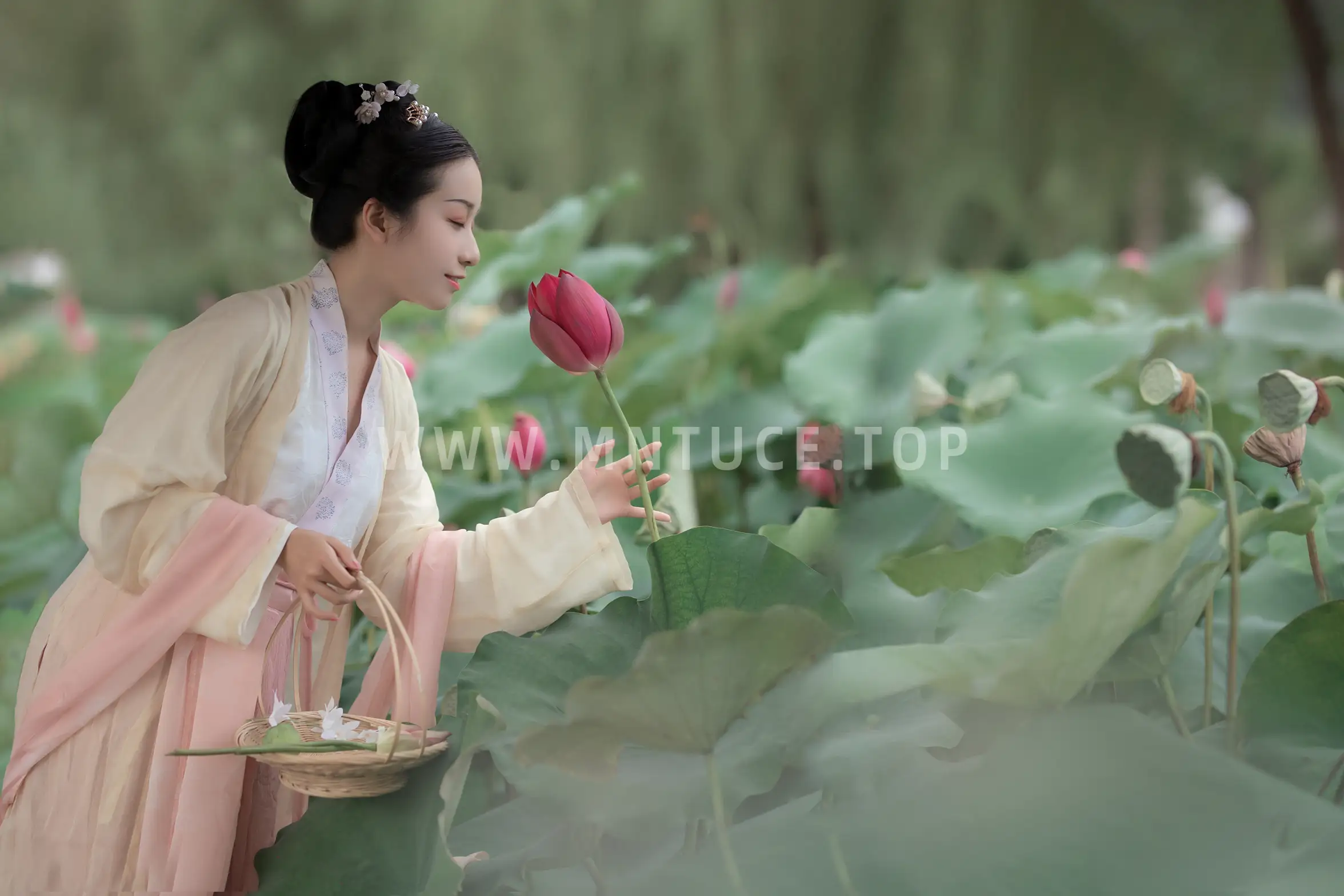 [艺图语] 2021.12.31 Vol.556 – 采荷 小清菡#[20P]-9
