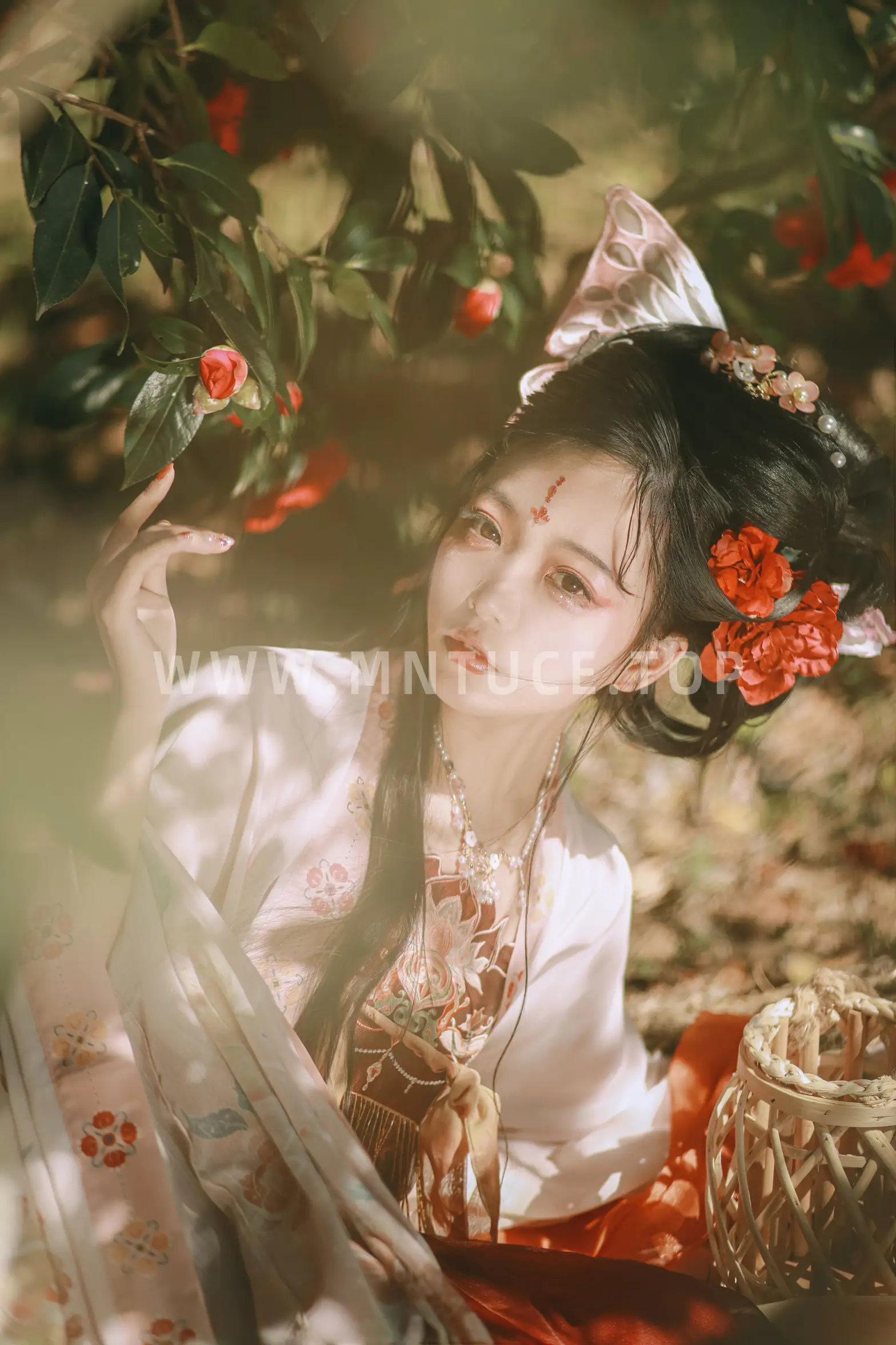 [艺图语] 2022.06.26 Vol.1296 – 山茶花神 芍药_Y#[42P]-8
