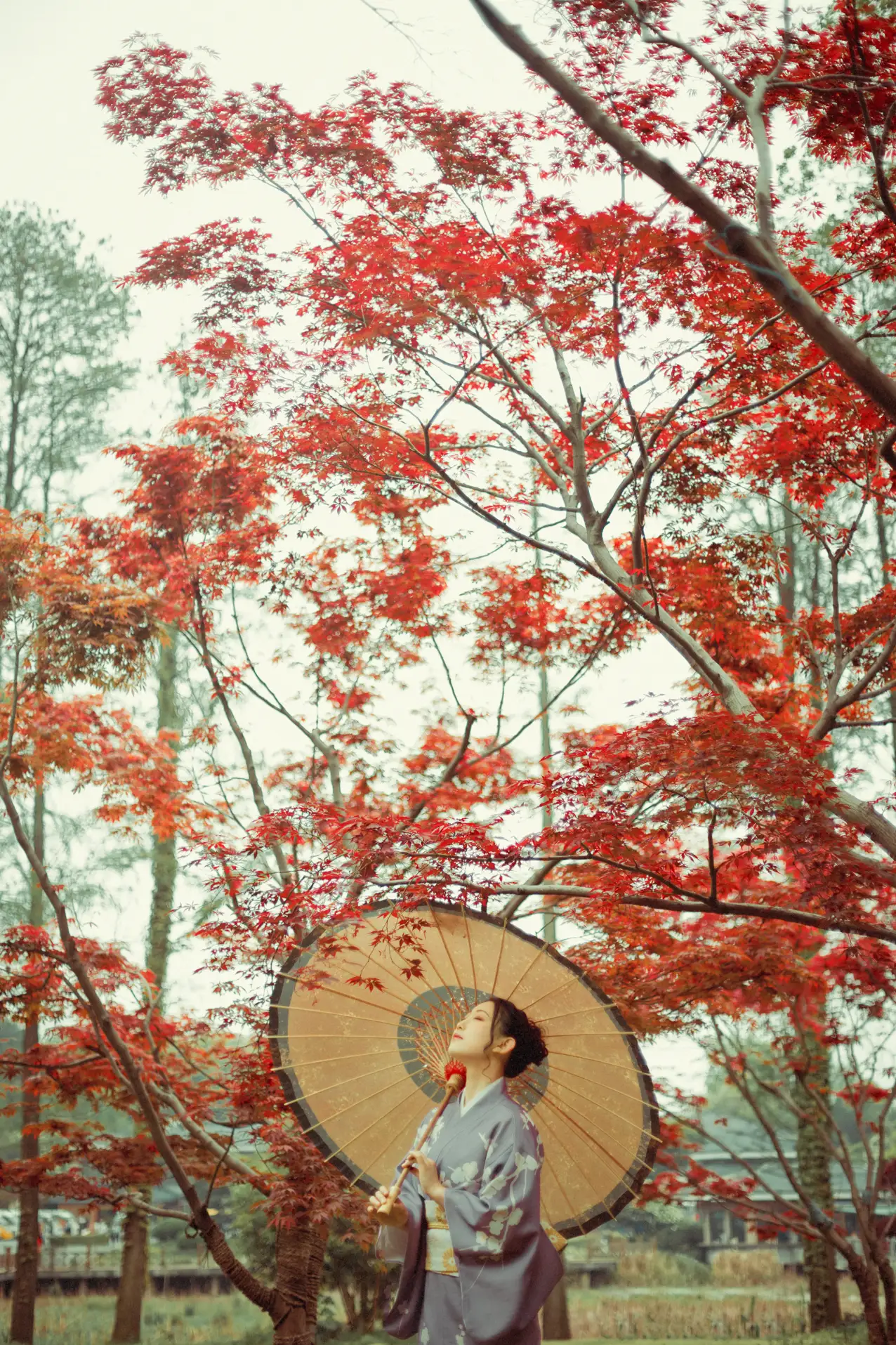 [艺图语] 2021.09.02 Vol.219 – 红叶深处 没烦恼#[29P]-12