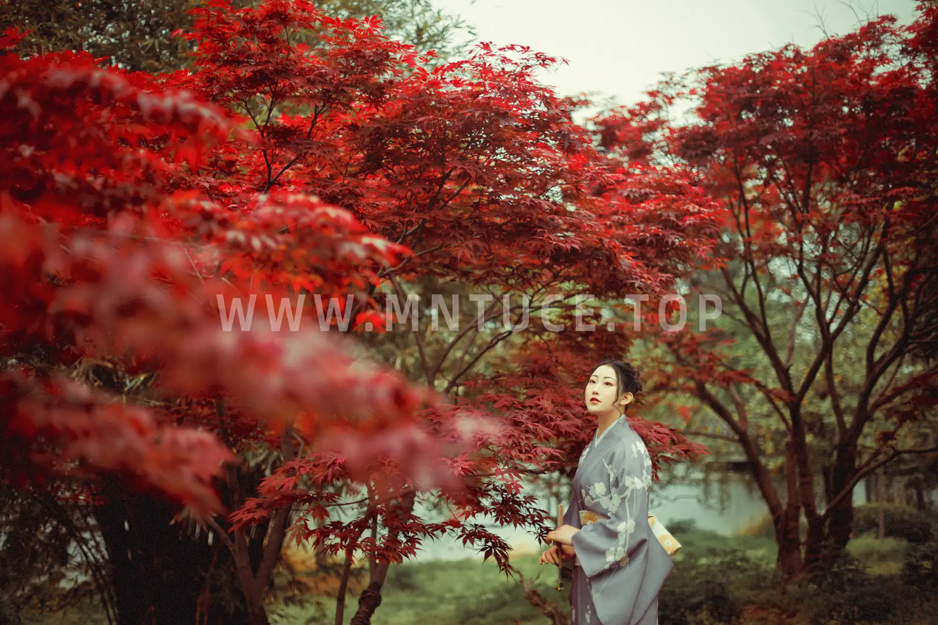 [艺图语] 2021.09.02 Vol.219 – 红叶深处 没烦恼#[29P]-18