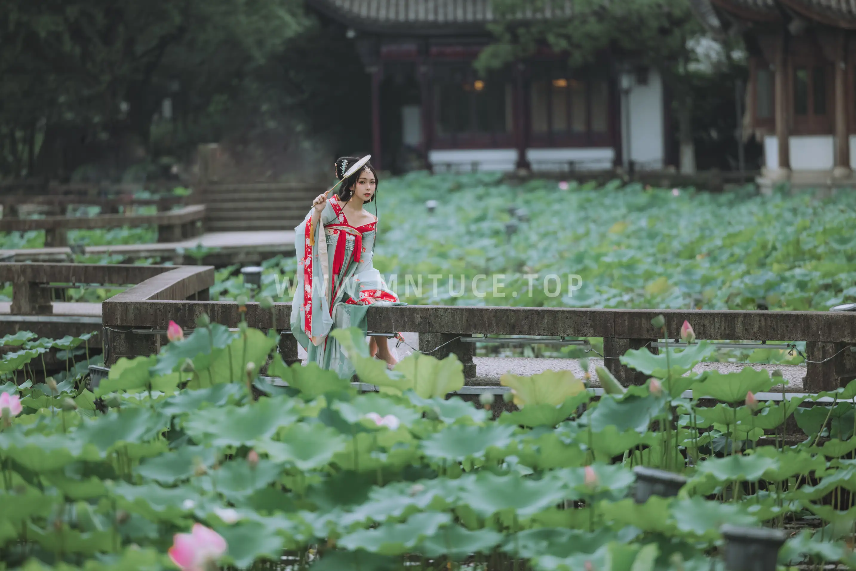 [艺图语] 2022.08.13 Vol.1692 – 风荷举 阡墨红尘#[22P]-8