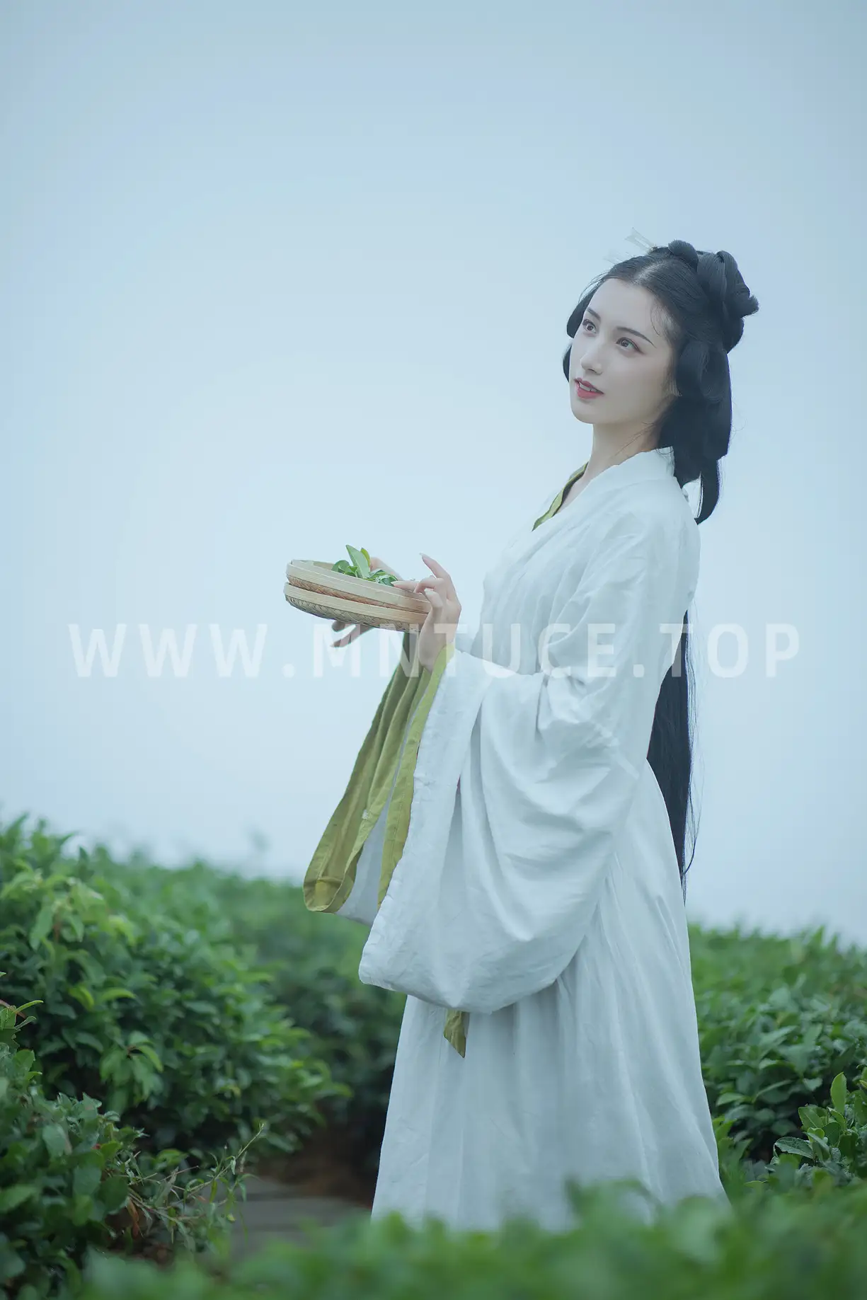 [艺图语] 2021.12.02 Vol.481 – 采茶女 十八重川#[20P]-9