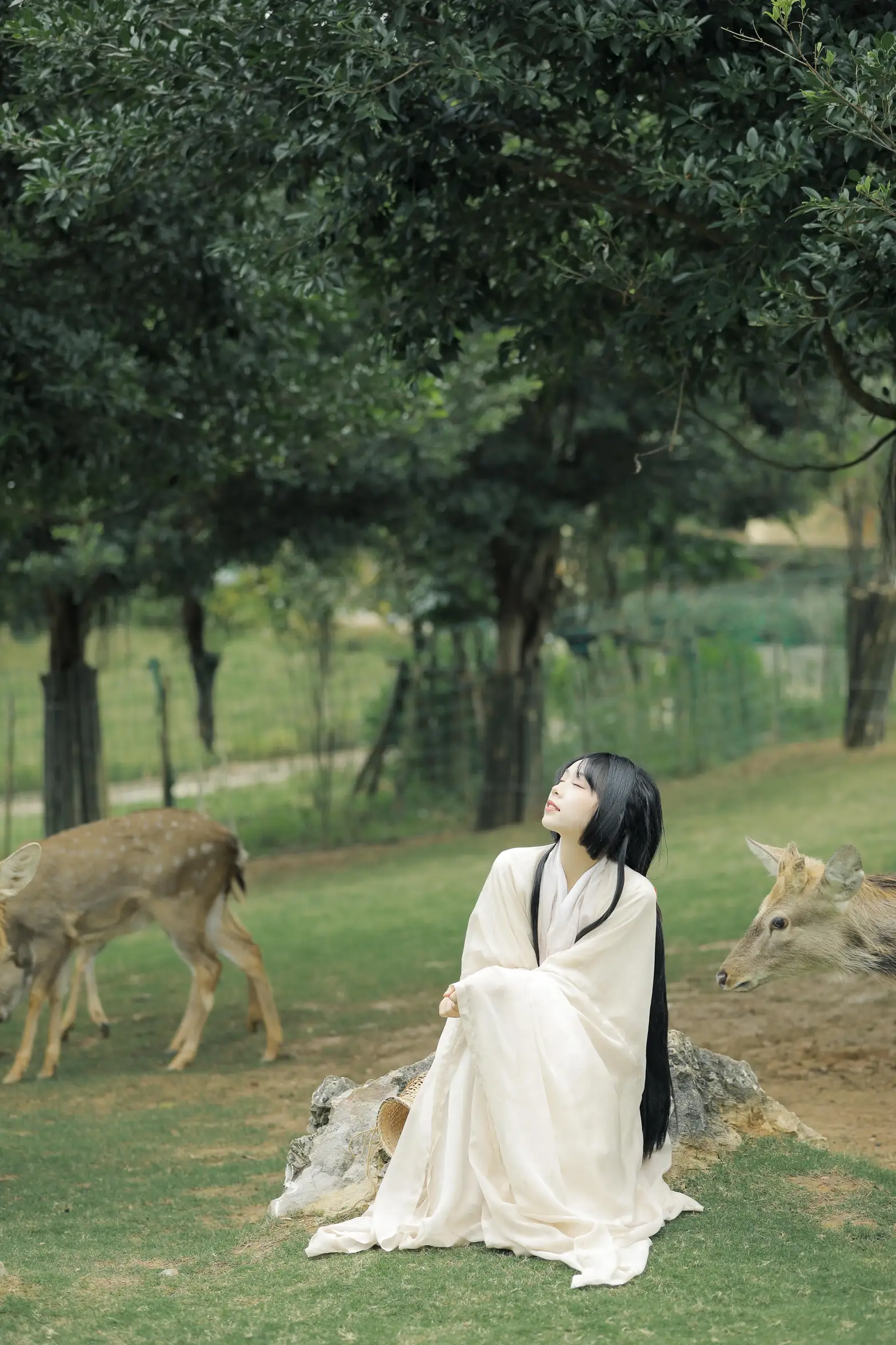 [艺图语] 2022.05.28 Vol.1013 – 鹿鸣 槐枝-#[27P]-11