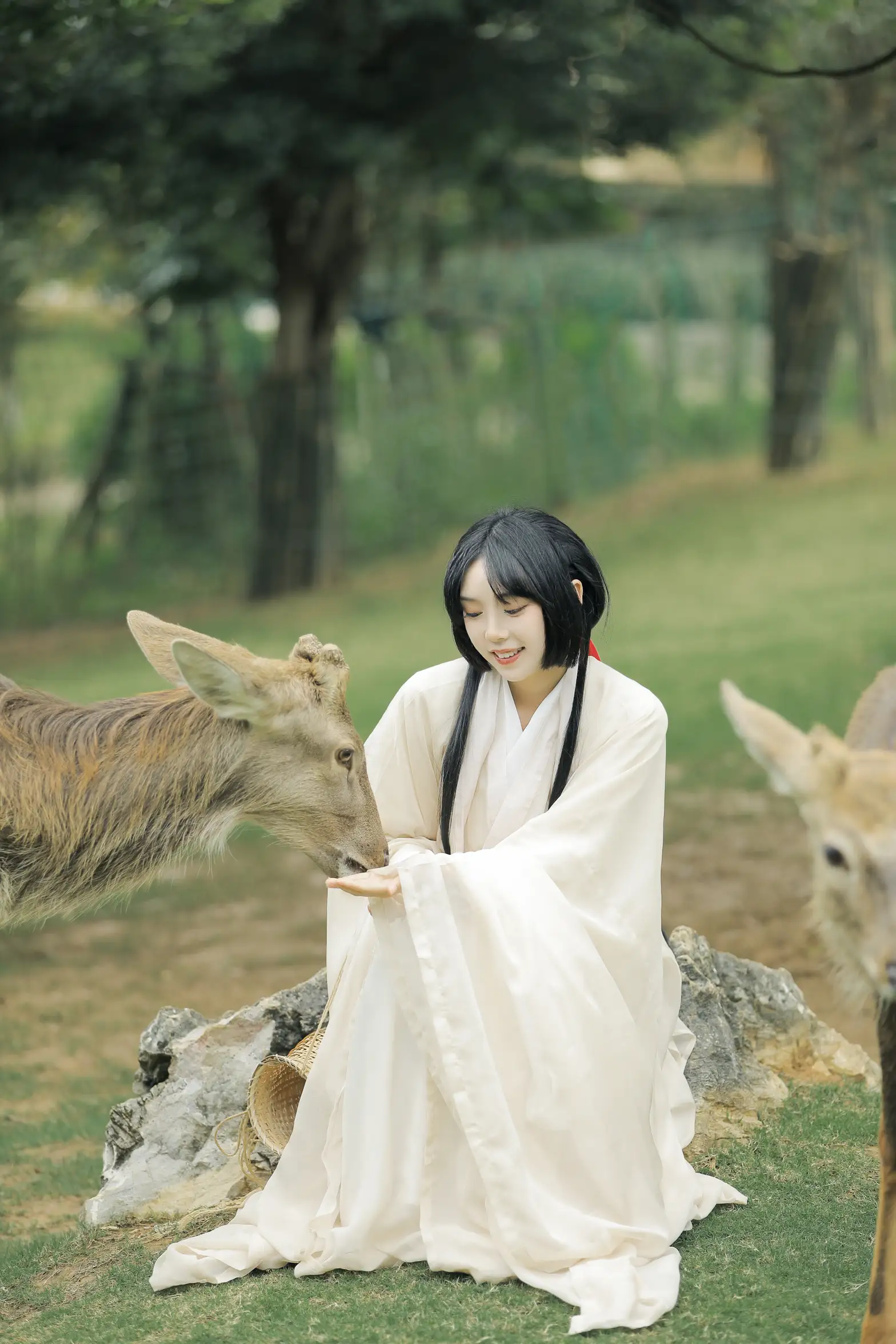 [艺图语] 2022.05.28 Vol.1013 – 鹿鸣 槐枝-#[27P]-12