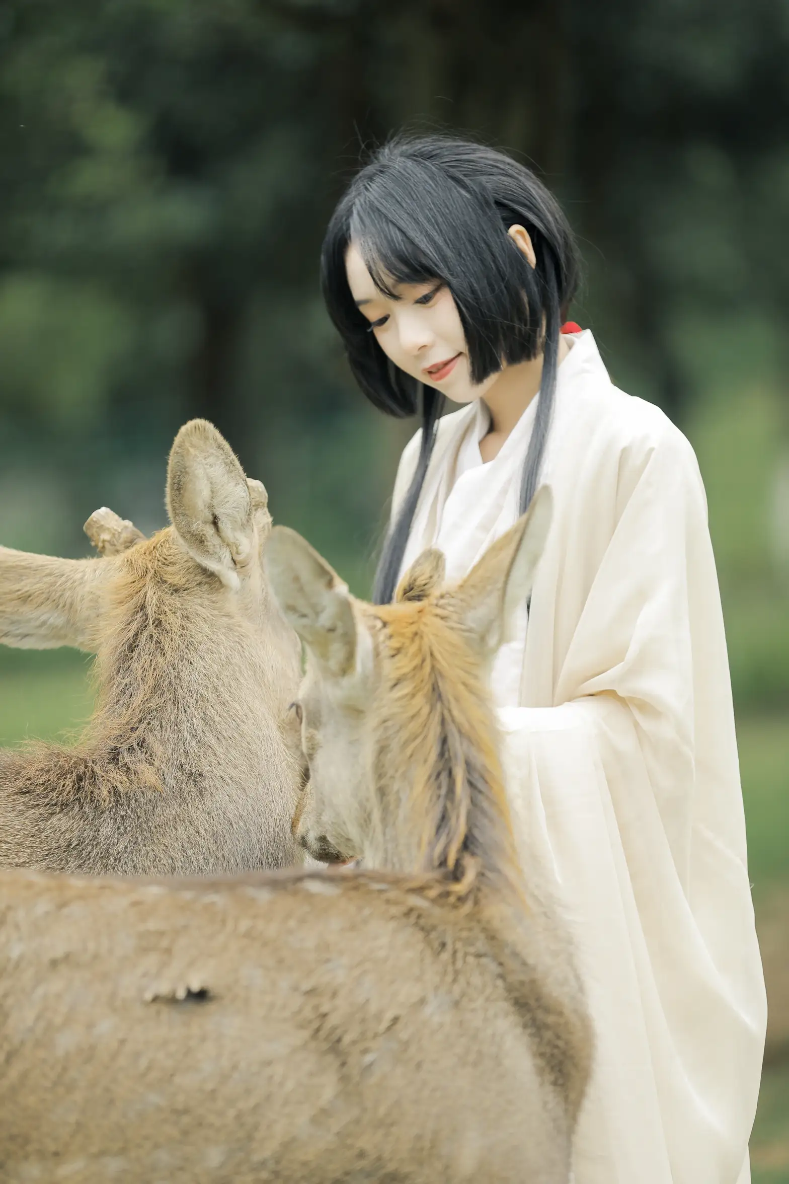 [艺图语] 2022.05.28 Vol.1013 – 鹿鸣 槐枝-#[27P]-2