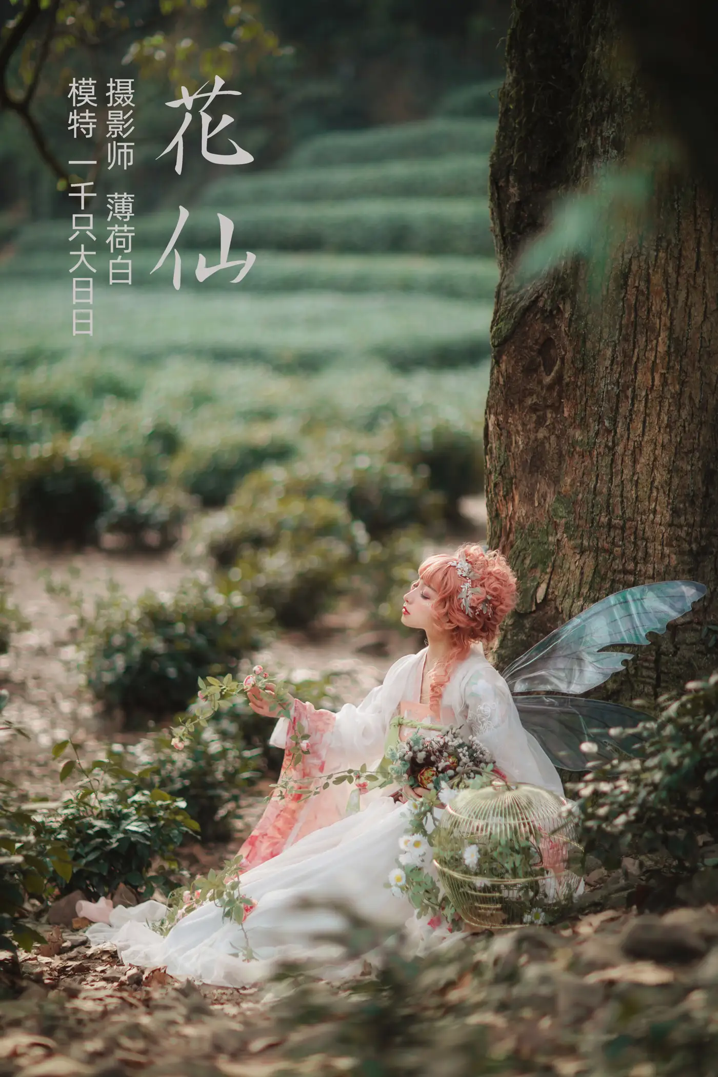 [艺图语] 2021.11.04 Vol.417 – 花仙 一千只大日日#[18P]-1