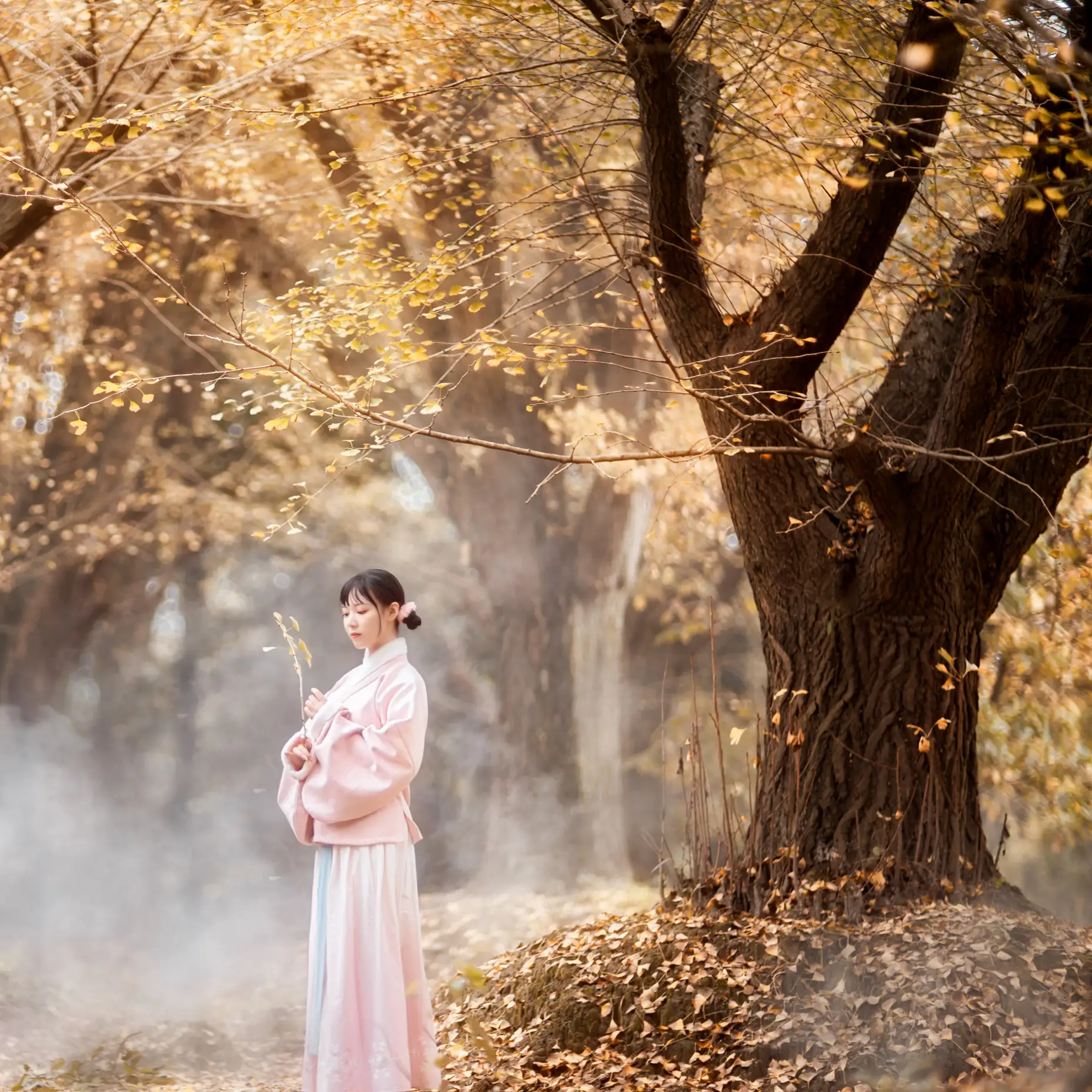 [艺图语] 2021.12.18 Vol.502 – 杏仙歌 李太白#[32P]-13