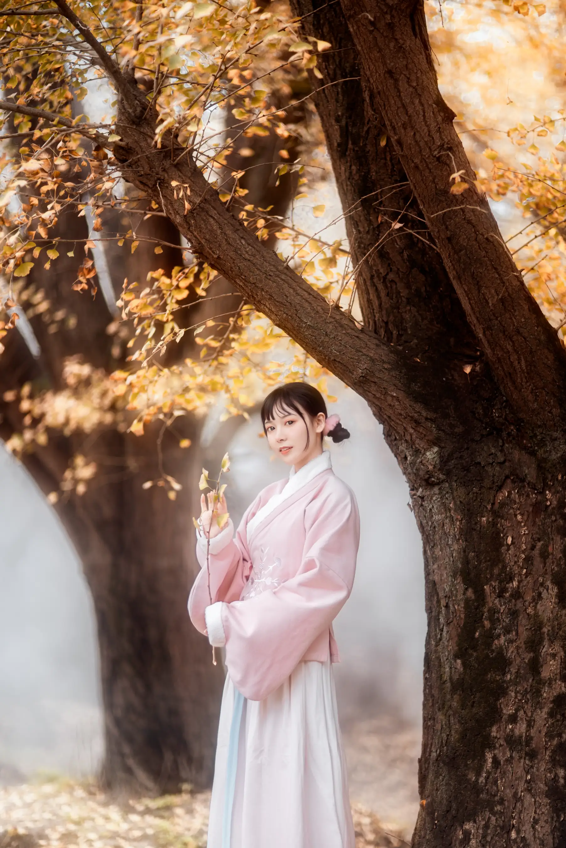 [艺图语] 2021.12.18 Vol.502 – 杏仙歌 李太白#[32P]-2