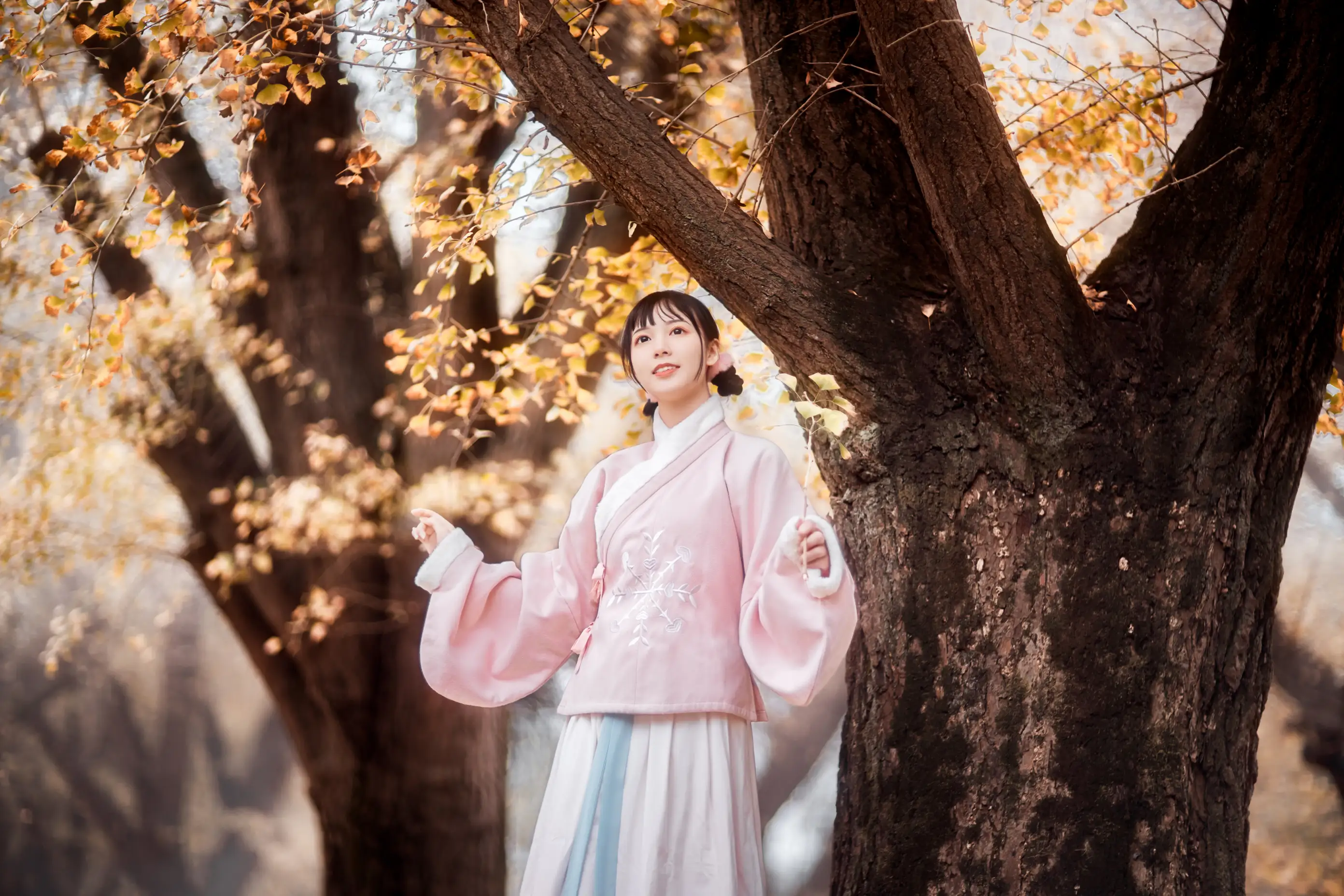 [艺图语] 2021.12.18 Vol.502 – 杏仙歌 李太白#[32P]-3