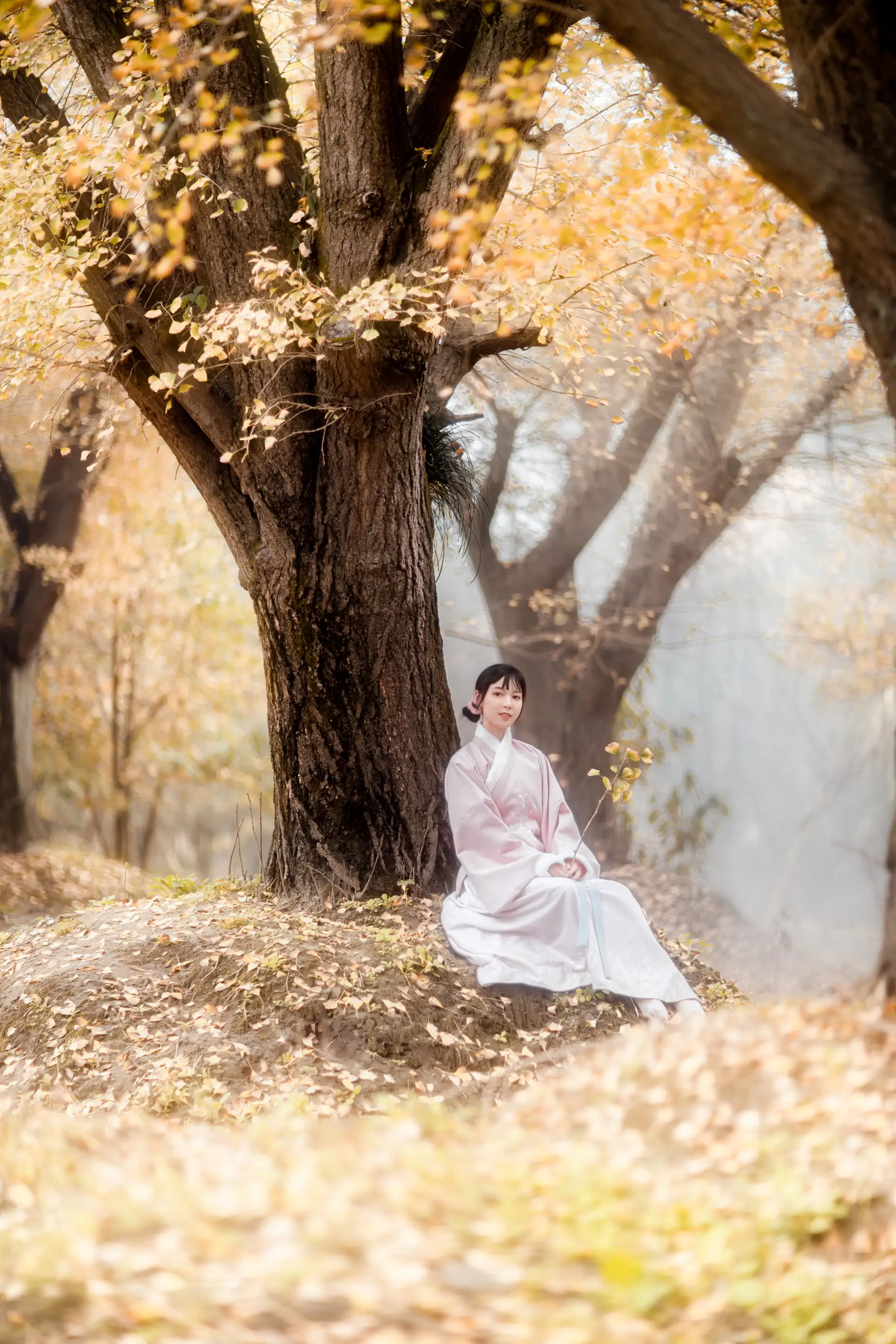 [艺图语] 2021.12.18 Vol.502 – 杏仙歌 李太白#[32P]-4