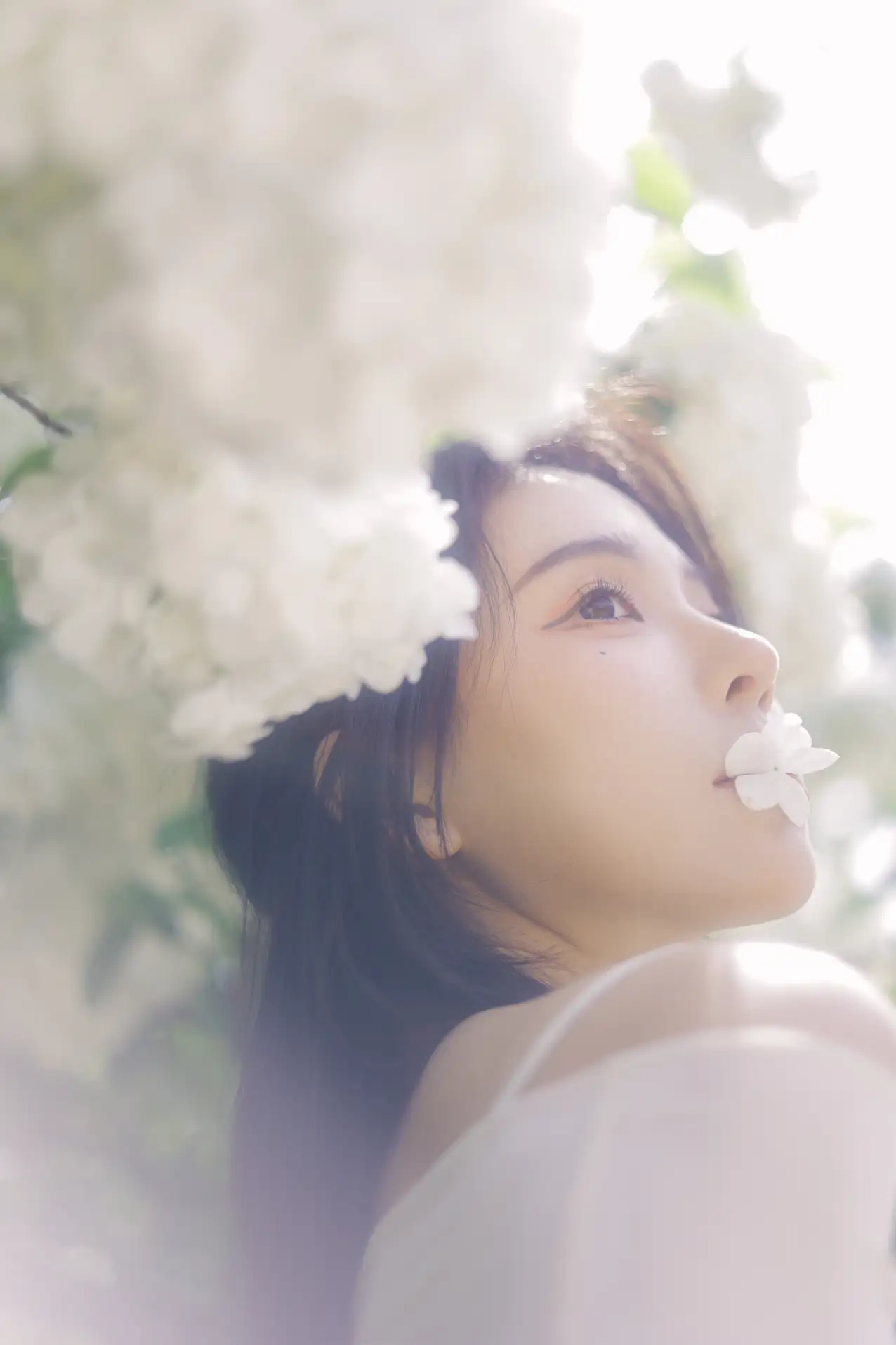 [艺图语] 2022.07.09 Vol.1424 – 椿 榕榕#[42P]-7
