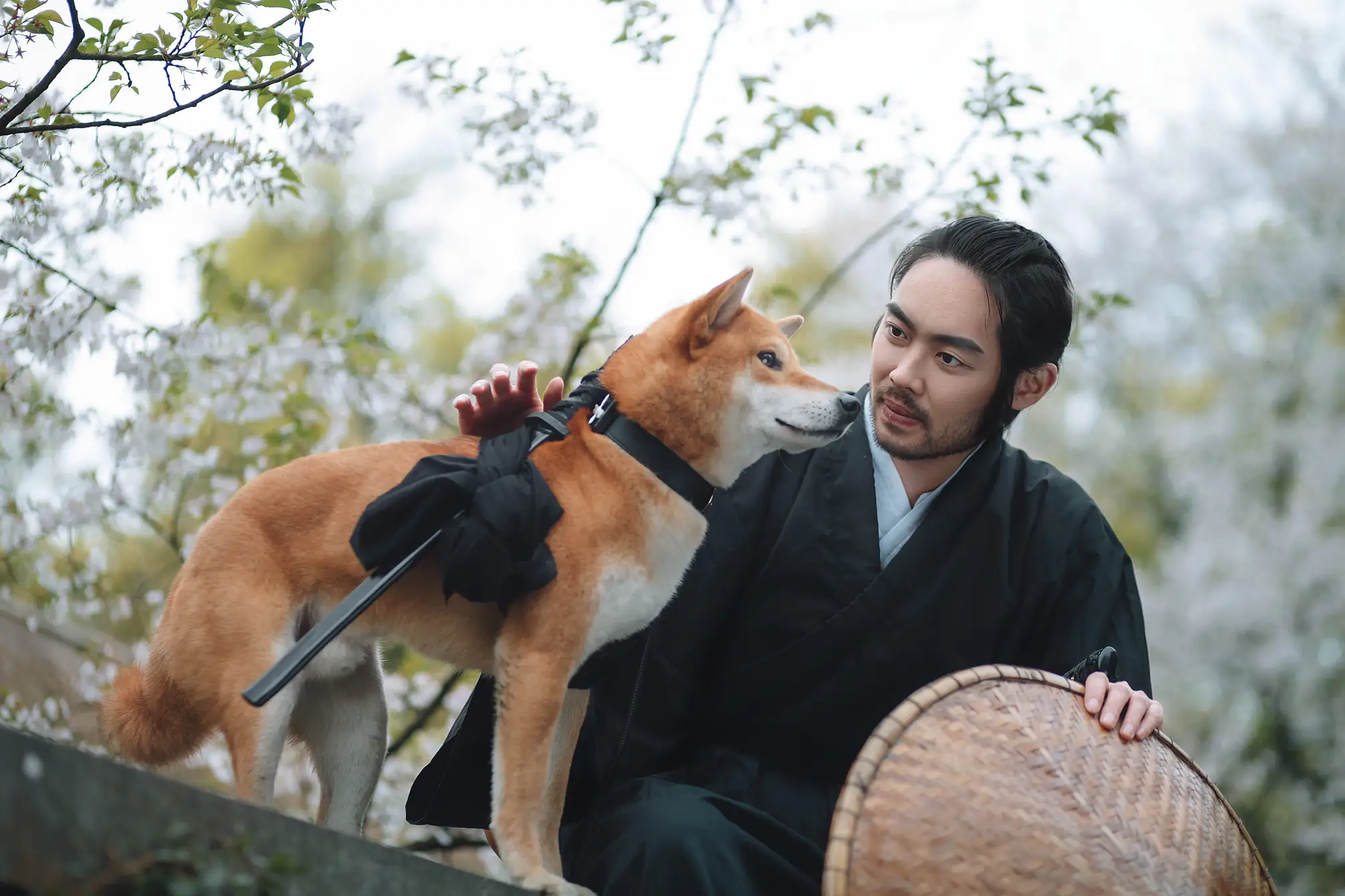 [艺图语] 2021.10.11 Vol.344 – 犬侍 老乔#[21P]-18