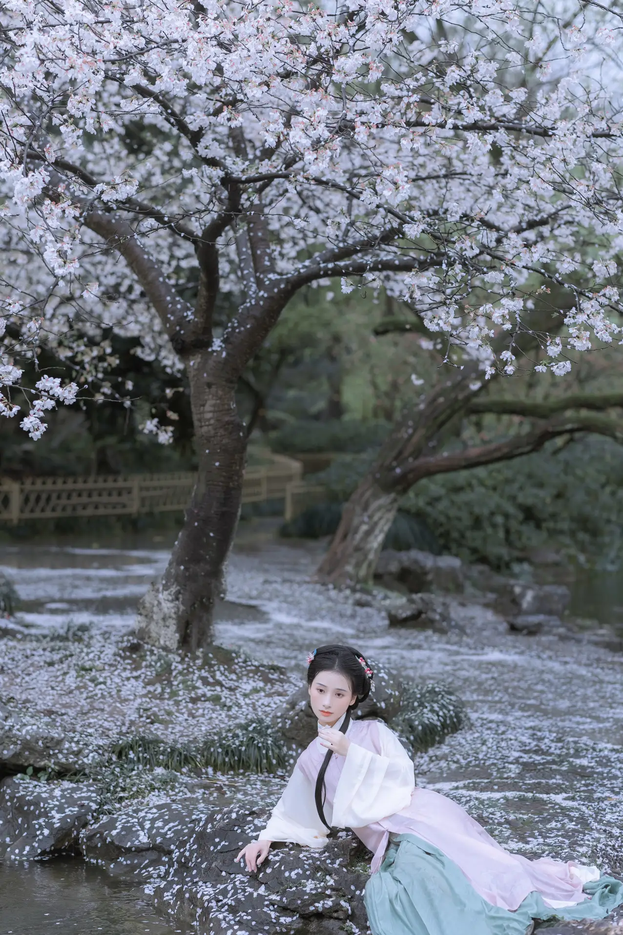 [艺图语] 2022.05.25 Vol.0984 – 雨樱花 眸小妖#[46P]-2