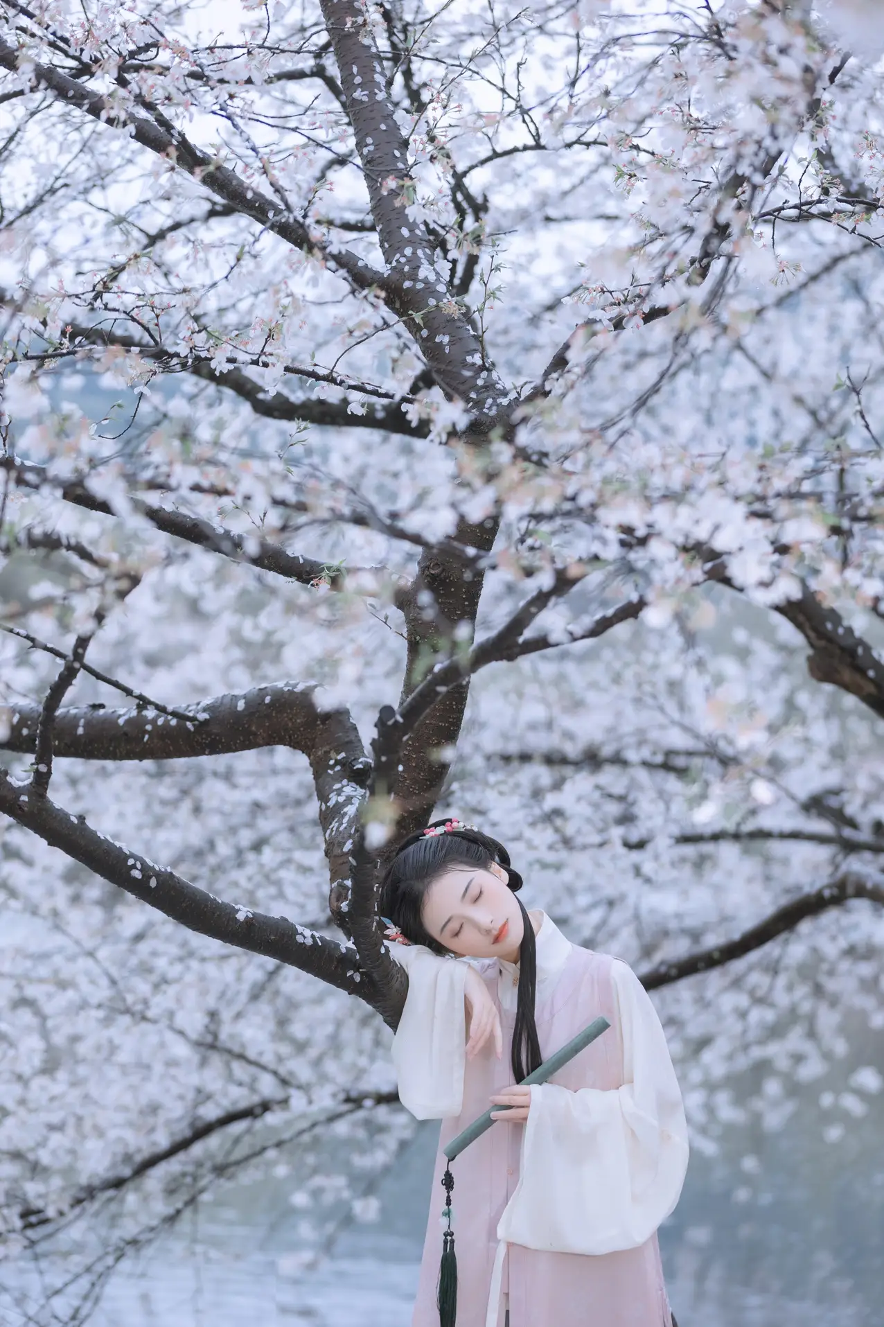 [艺图语] 2022.05.25 Vol.0984 – 雨樱花 眸小妖#[46P]-4