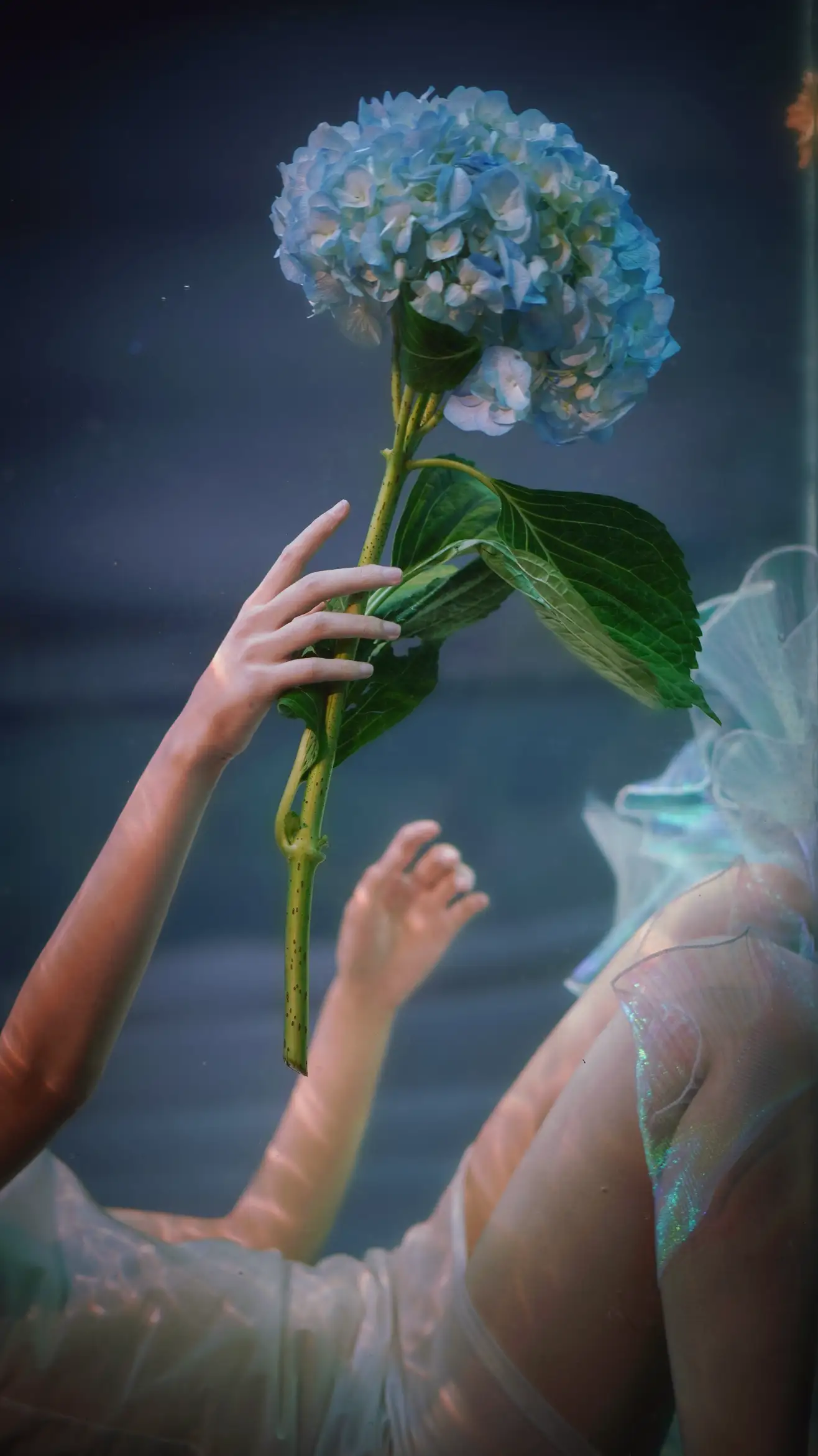 [YITUYU] 2022.09.05 Vol.1876 – Underwater Confession Pill#[28P]-3