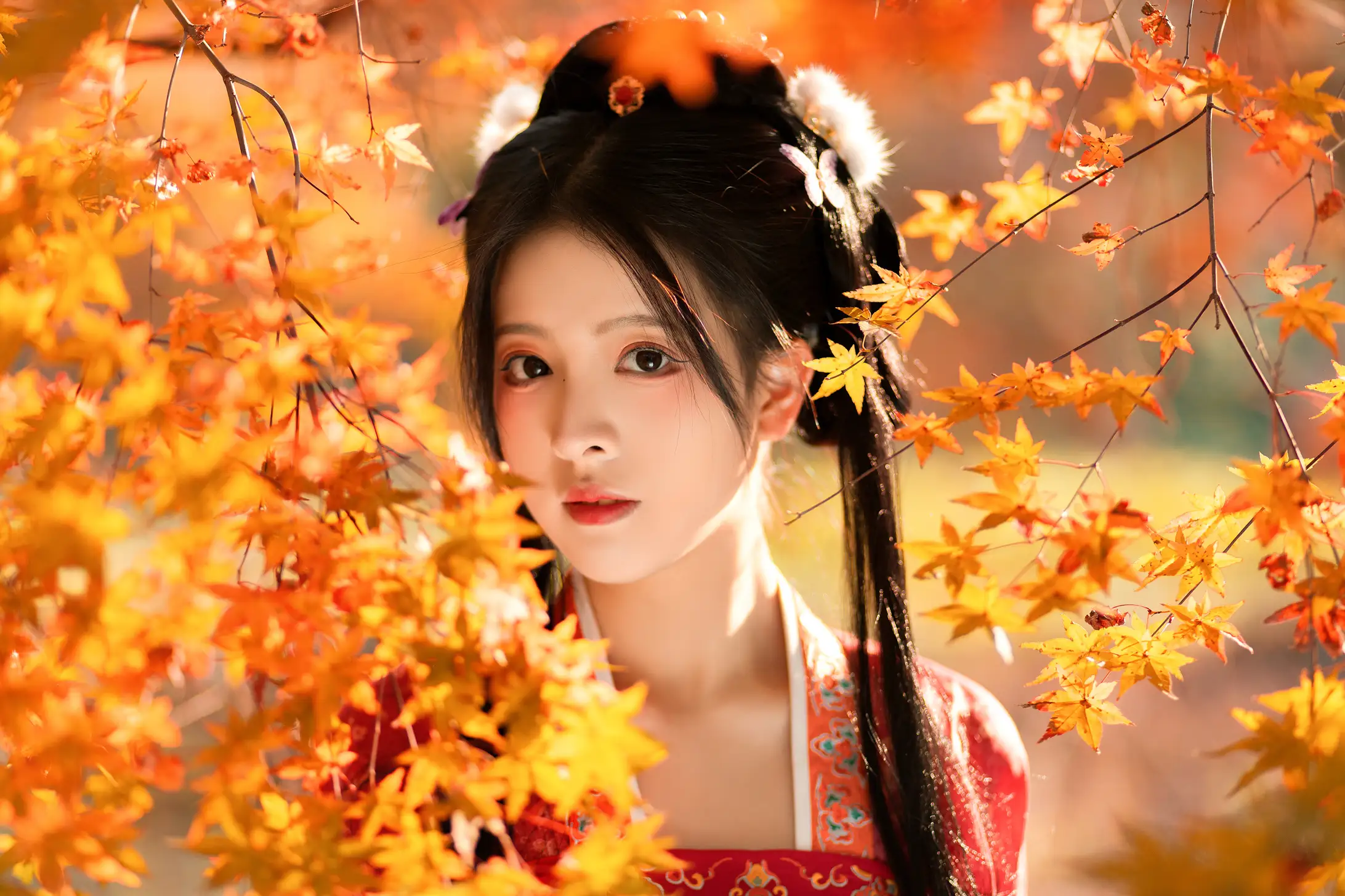 [艺图语] 2022.01.24 Vol.698 – 枫林晚 柚子#[32P]-1
