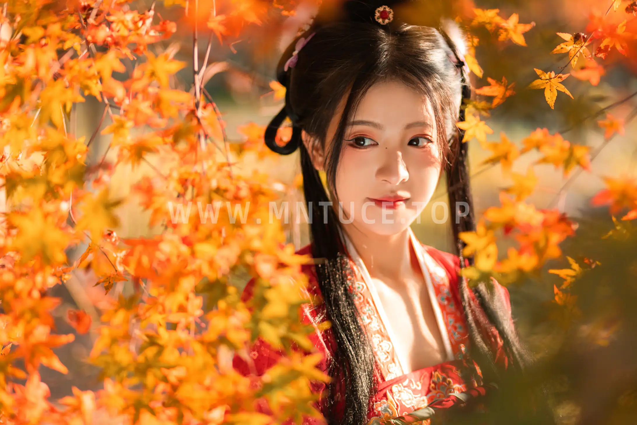 [艺图语] 2022.01.24 Vol.698 – 枫林晚 柚子#[32P]-2