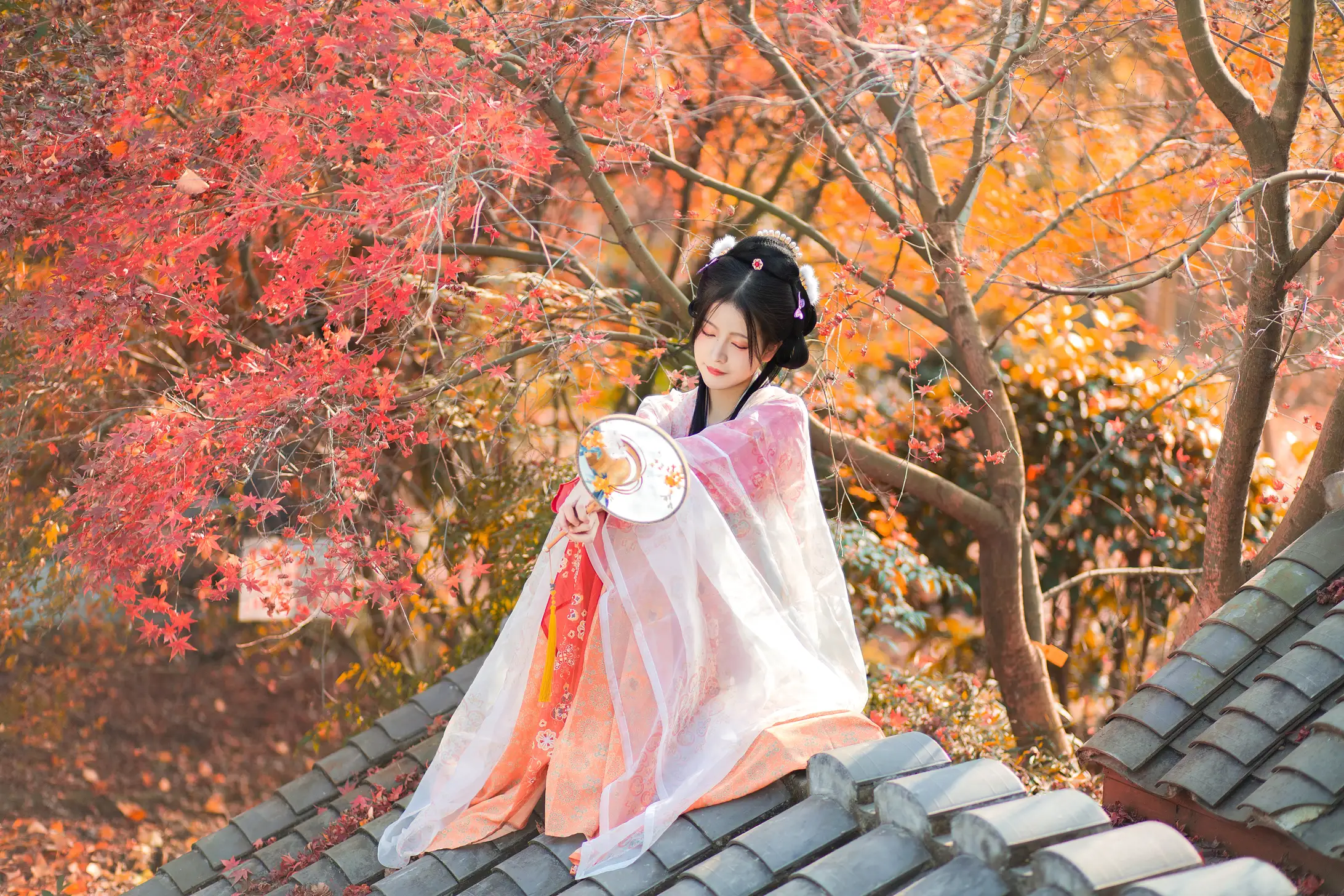 [艺图语] 2022.01.24 Vol.698 – 枫林晚 柚子#[32P]-13