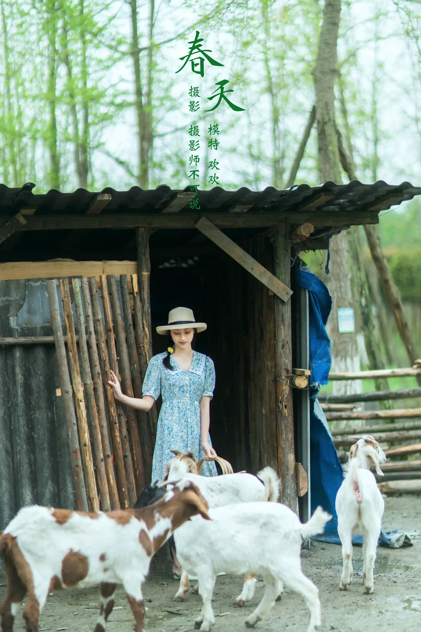 [艺图语] 2021.12.21 Vol.507 – 春天 欢欢#[32P]-1