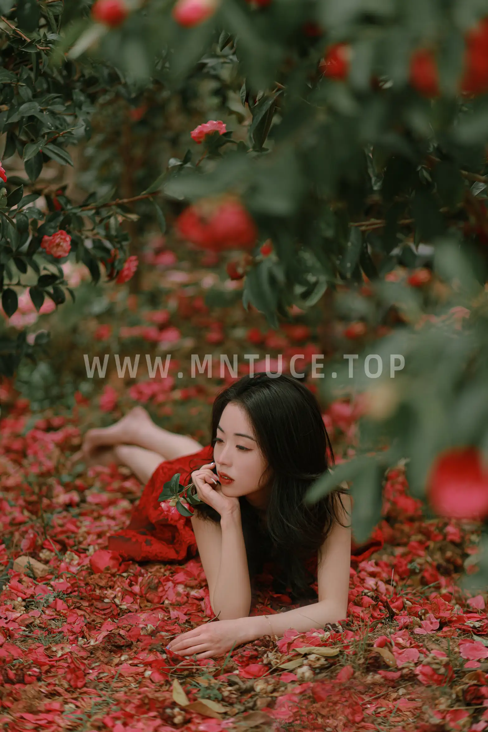 [艺图语] 2022.06.29 Vol.1324 – 落红 小朱#[47P]-9