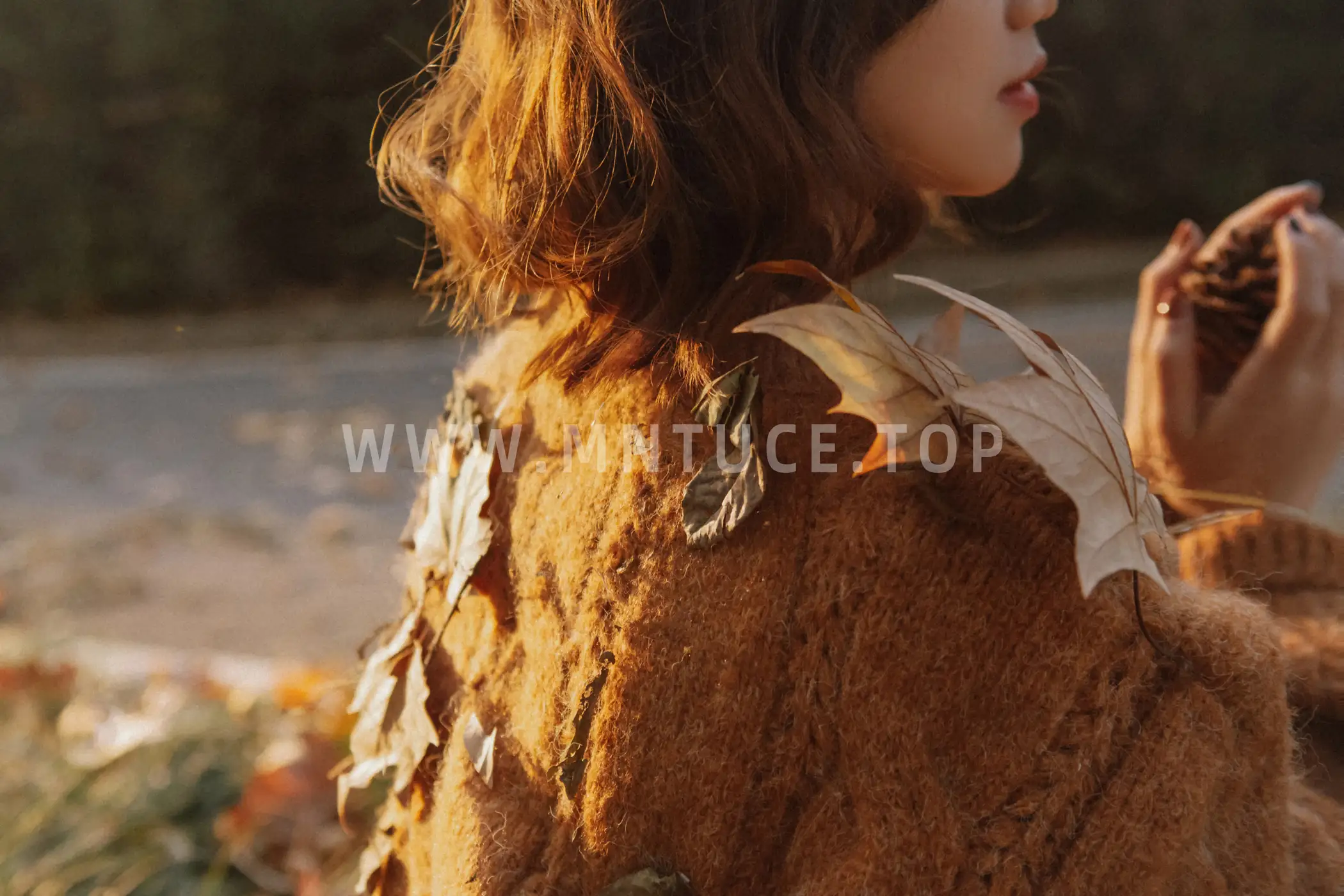 [艺图语] 2020.12.14 Vol.006 – 秋意浓 Taltooy#[30P]-18