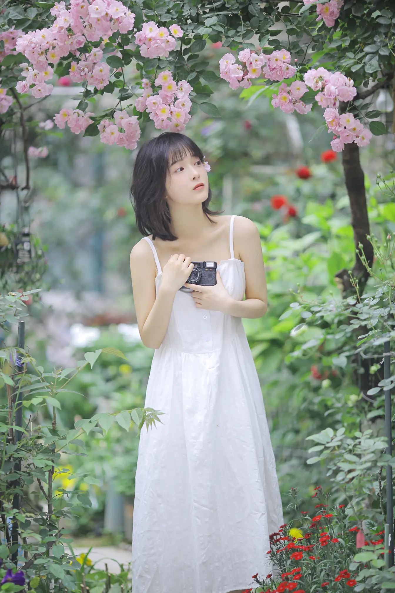 [艺图语] 2022.08.17 Vol.1725 – 花期已致 美好如初 甜酒八號#[30P]-12