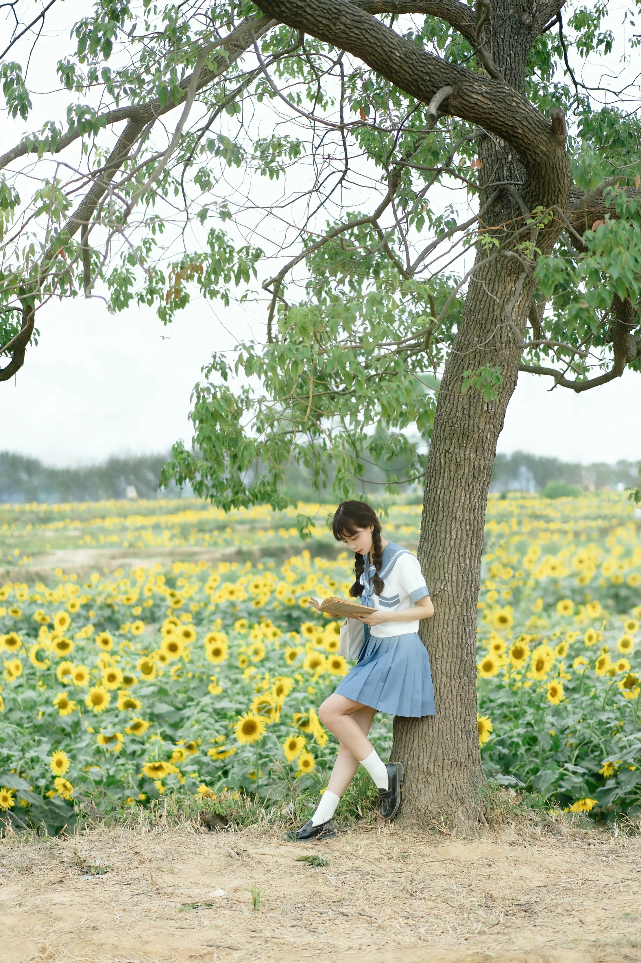[艺图语] 2022.11.20 Vol.2484 – 向日葵之约 百变小影#[27P]-10